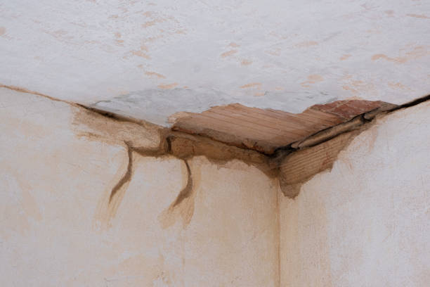 Best Water damage contractors near me  in Skiato, OK