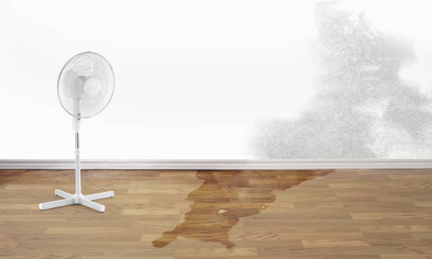 Best Sewage cleanup and water damage restoration  in Skiato, OK