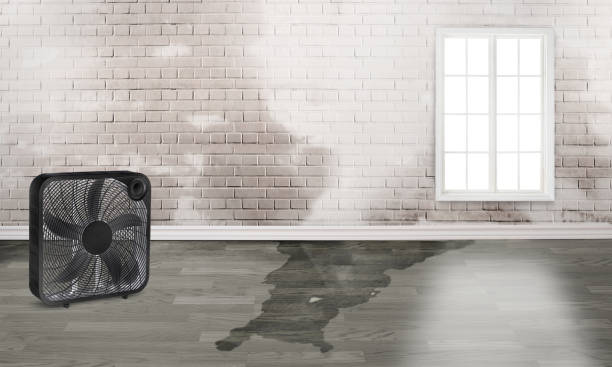 Best Emergency water damage restoration  in Skiato, OK