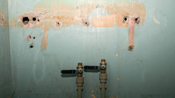 Best Commercial water damage restoration  in Skiato, OK