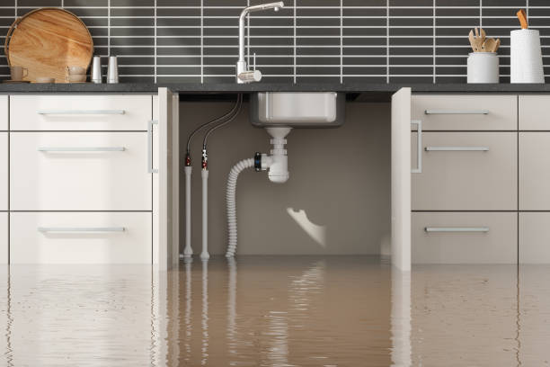 Best Water damage restoration specialists  in Skiato, OK