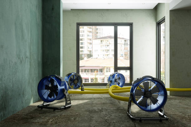 Best Residential water damage restoration  in Skiato, OK